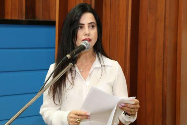 Imagem: A audiência pública será comandada pela deputada Mara Caseiro (PSDB)