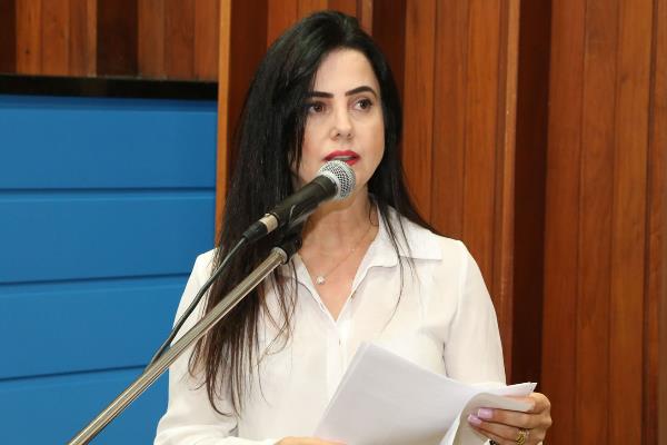 Imagem: Deputada Mara Caseiro comanda audiência pública sobre projeto que proíbe doutrinação política e religiosa nas escolas