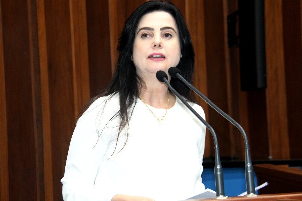 Imagem: Proposta de Mara Caseiro beneficiará servidoras estaduais