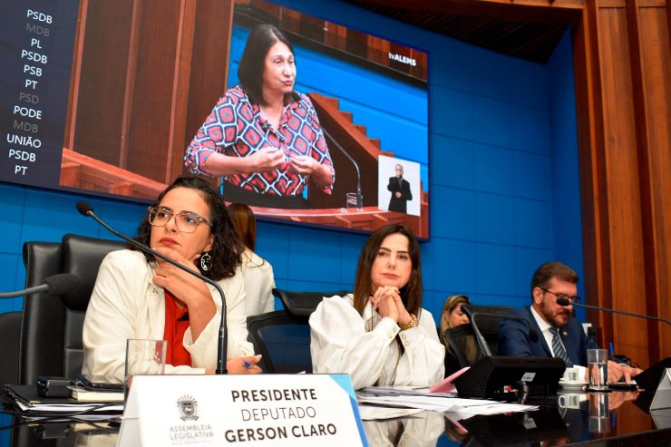Imagem: A partir da fala da vereadora Luiza Ribeiro, reflexão sobre o tema foi trazida ao Plenário nesta quarta-feira