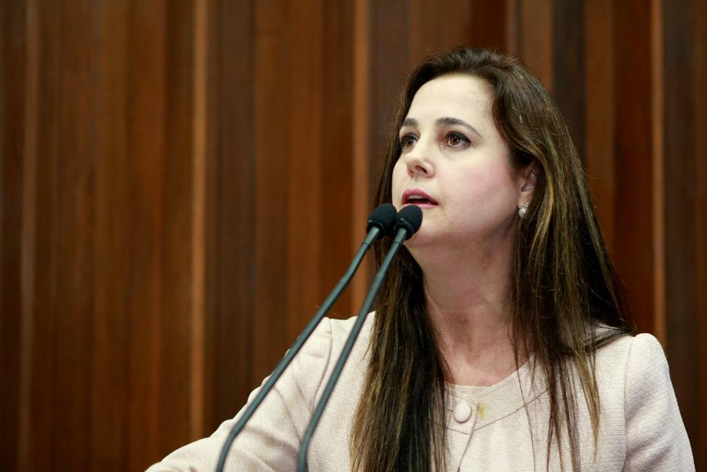 Imagem: Mara Caseiro alerta para insegurança jurídica gerada a partir dos conflitos