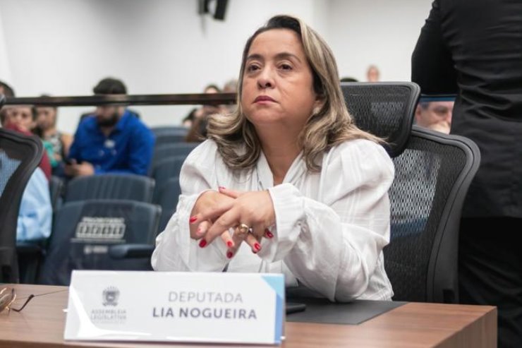 Imagem: Para a deputada, o Estado precisa adotar uma política social efetiva para cuidar das pessoas.