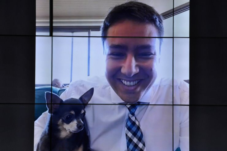 Imagem: Parlamentar apresentou alteração na lei estadual de proteção aos animais 