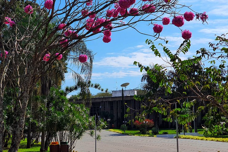 Imagem: A Assembleia Legislativa está localizada na Avenida Desembargador José Nunes da Cunha, no Parque dos Poderes 