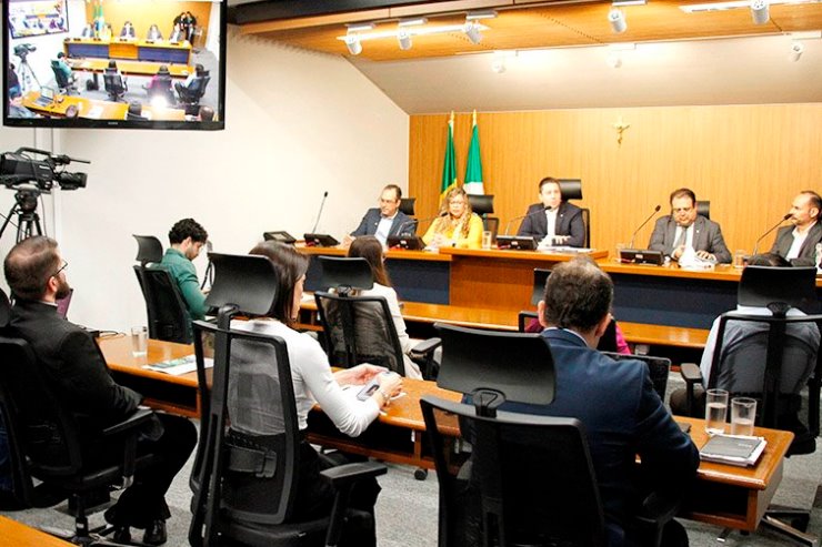 Imagem: O grupo de trabalho acompanhará as políticas públicas relacionadas à proteção da vida das gestantes e do nascituro