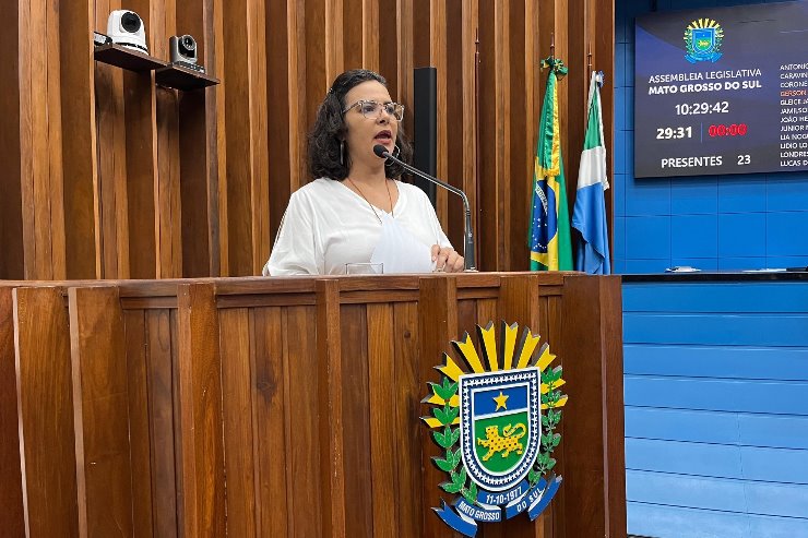 Imagem: Gleice Jane sugere criação de medidas de prevenção para os estabelecimentos de grande circulação e o acolhimento para vítimas de racismo