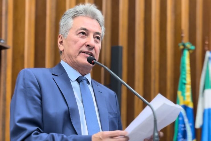 Imagem: O parlamentar ressalta que todo o estado de Mato Grosso do Sul, tanto o setor público quanto o setor privado, tem envidado esforços para apoiar o Rio Grande do Sul