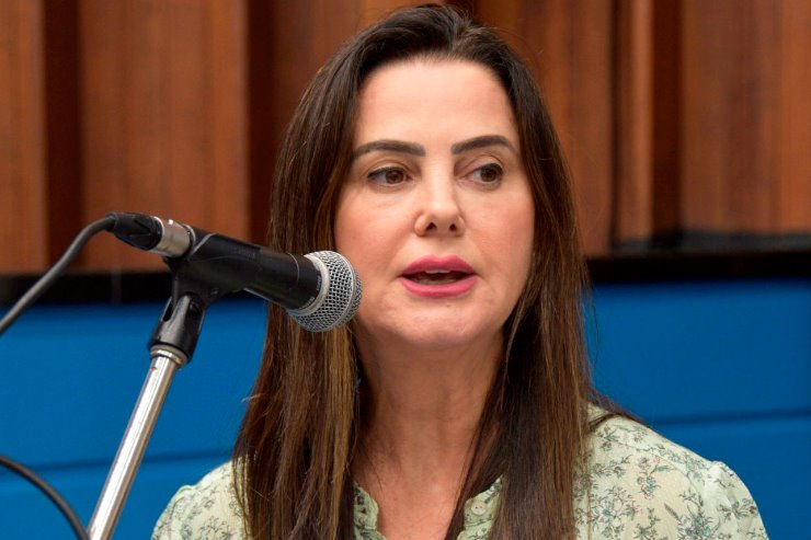 Imagem: Proposições são de autoria da deputada Mara Caseiro e foram publicadas no Diário Oficial do Estado desta terça-feira