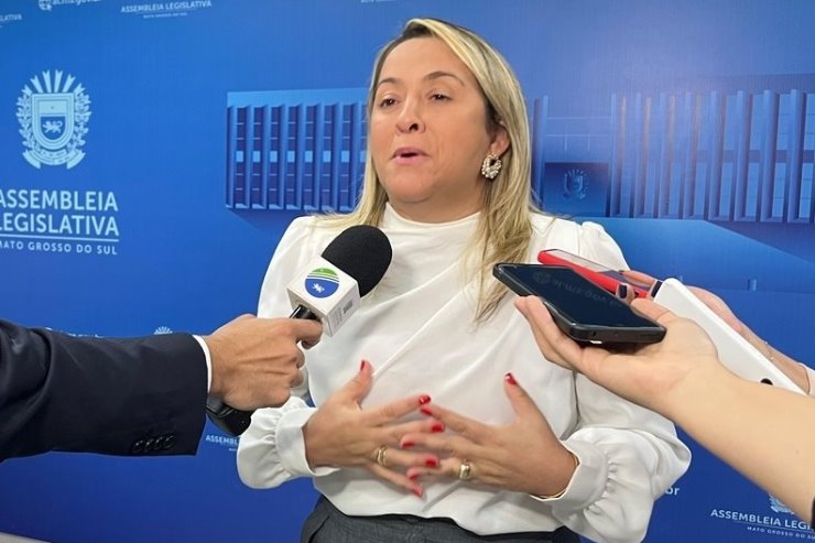 Imagem: Deputada Lia Nogueira sugere medidas que visam assegurar a integridade física e o bem-estar dos coletores de material reciclável 