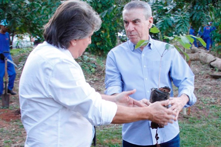 Imagem: Deputados plantaram mudas de ipê roxo como gesto simbólico que representa a atenção da Casa de Leis às pautas ambientais