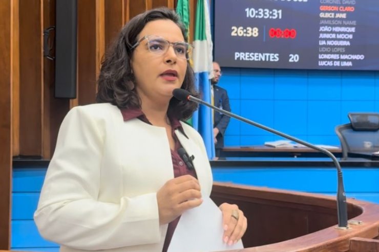 Imagem: Deputada apontou força dos movimentos que fizeram legislação recuar no País