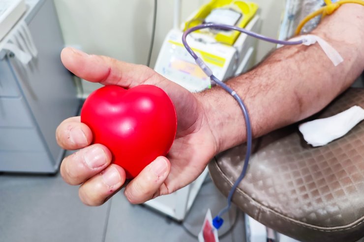 Imagem:  Em colaboração com a Rede Hemosul, as ações de doação são organizadas anualmente, por meio da Escola do Legislativo