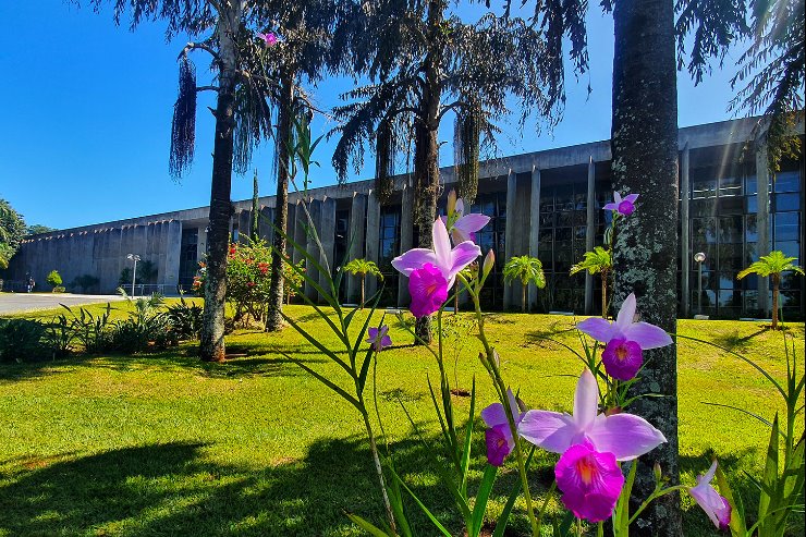 Imagem: Em construção, a jovem democracia brasileira se alicerça na Constituição, no voto e na autonomia dos Poderes constituídos