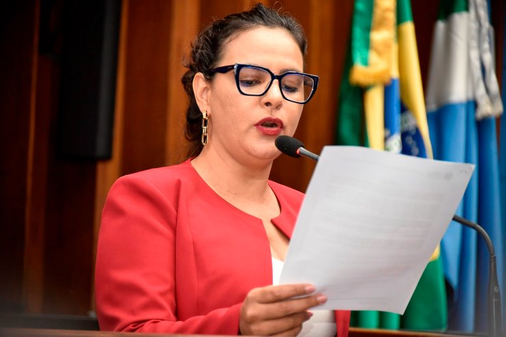 Imagem: Deputada ainda cobrou informações sobre vagas de professores na rede pública estadual