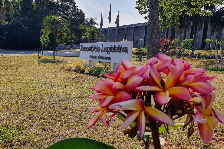 Imagem: Propostas que visam a garantia de direitos e proteção das mulheres estão tramitando na Assembleia Legislativa de Mato Grosso do Sul