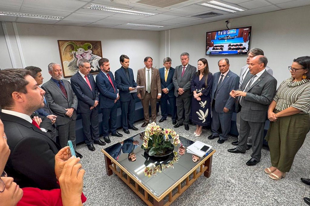 Imagem: Em nome dos deputados, Mochi explicou que o documento detalha denúncias colhidas em audiências públicas 