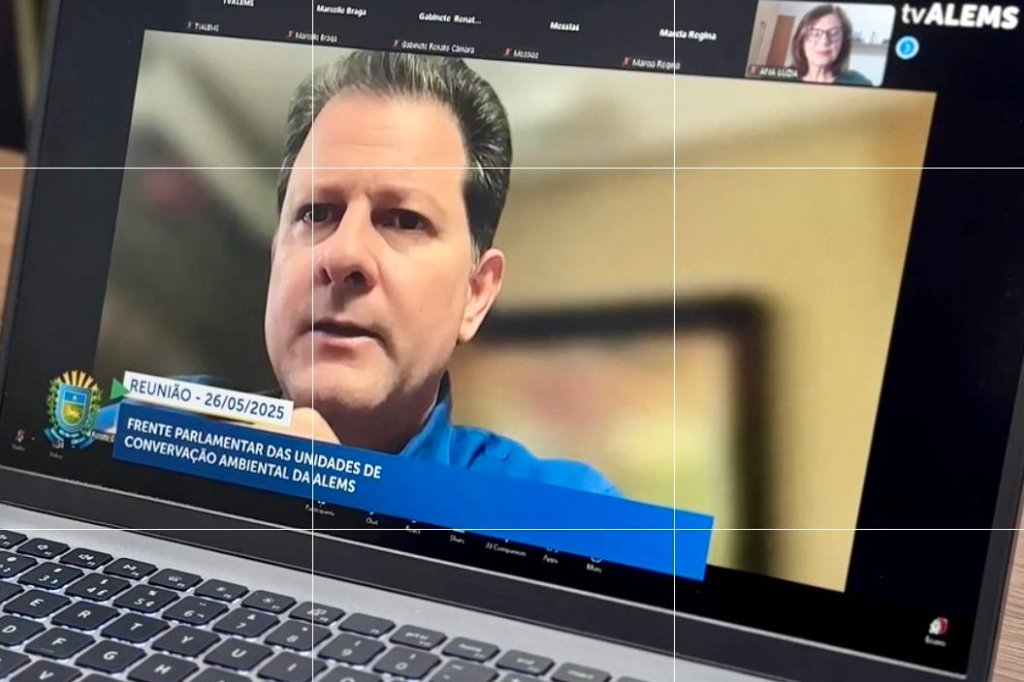 Imagem: Coordenada pelo deputado Renato Câmara, presidente da Frente Parlamentar, reunião foi realizada de forma remota 