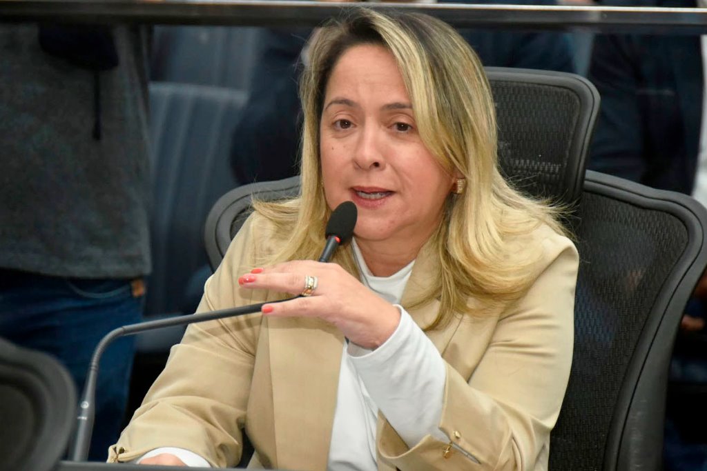 Imagem: Lia Nogueira clama por ações eficazes no combate à violência contra a mulher e o feminicídio 