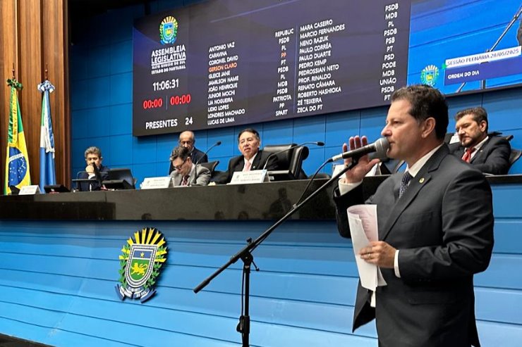 Imagem: Entre as ações que motivaram a homenagem estão projetos inovadores como o Ilumina Pantanal, que levou energia solar a milhares de famílias em regiões de difícil acesso, e iniciativas ambientais como a reconstrução do ninho do tuiuiú em Corumbá