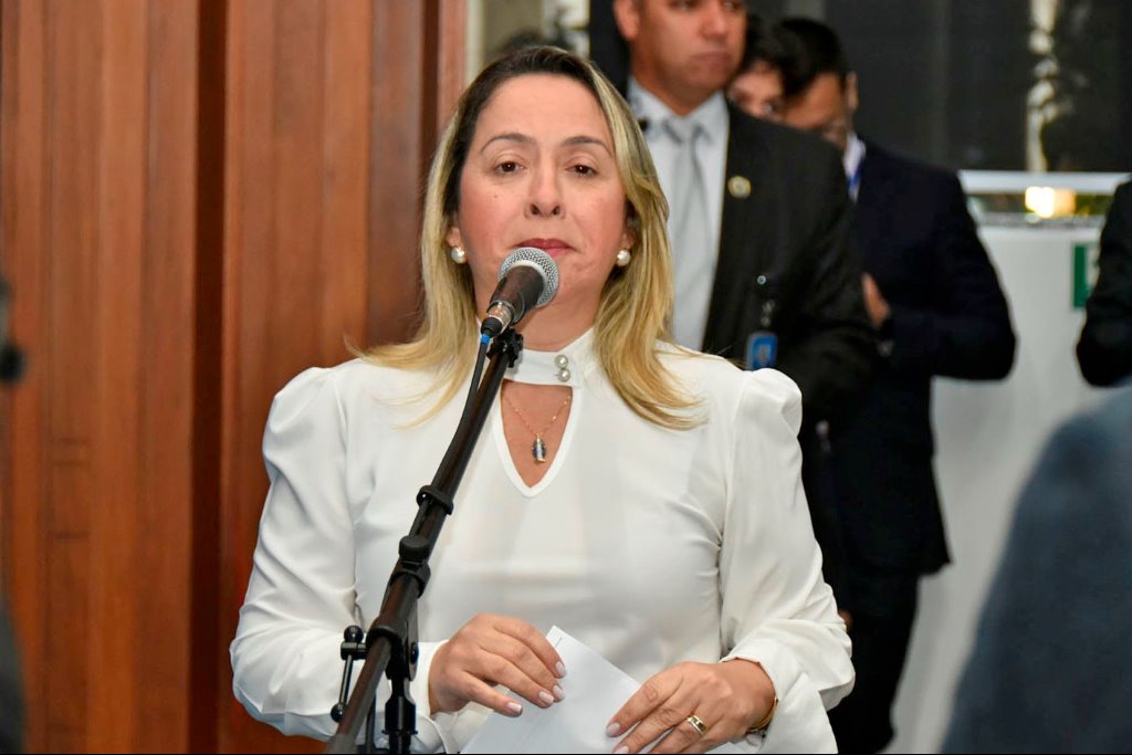 Imagem: Lei é de autoria da deputada Lia Nogueira