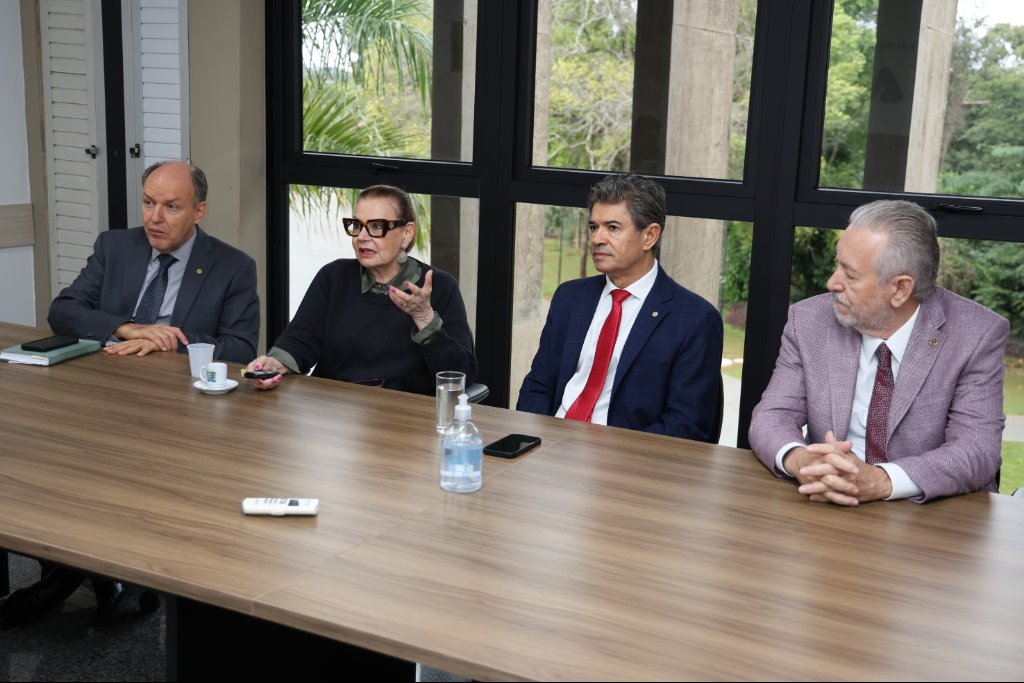 Imagem: Deputados estaduais integrantes da Comissão de Educação se reuniram com a diretora-presidente da Fadeb/MS