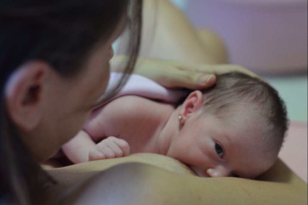 Imagem: A legislação protege, incentiva e fortalece esse ato natural e essencial para a saúde da mãe e bebê