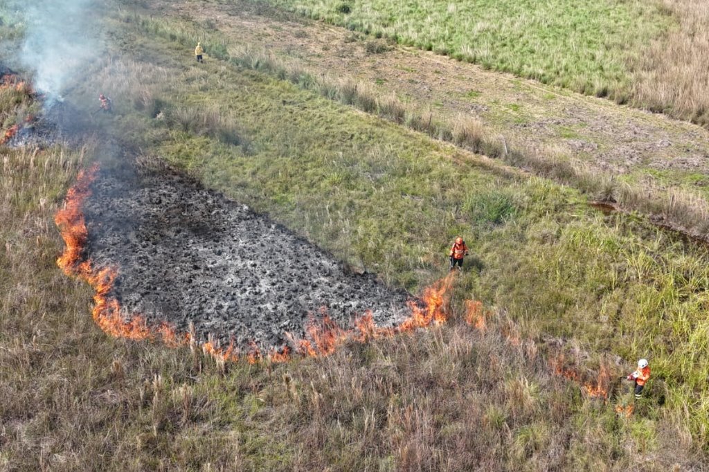 Imagem: O clima seco e a baixa umidade transformam o Estado em um cenário propício para incêndios