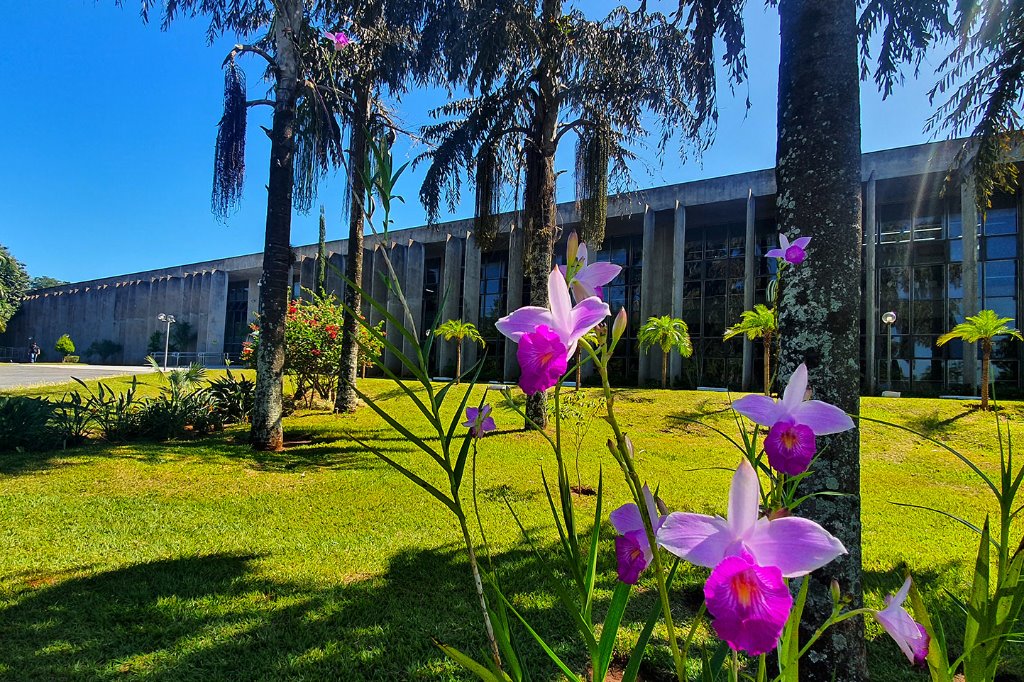 Imagem: Eventos na Casa de Leis são abertos ao público e à imprensa