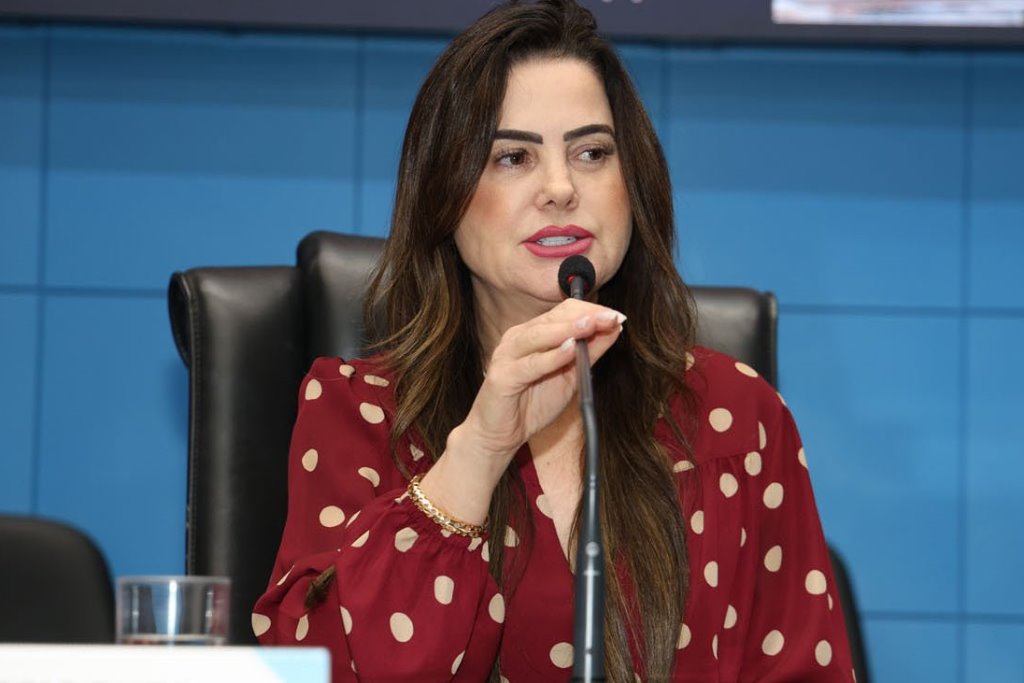 Imagem: Proposto pela deputada Mara Caseiro, o lançamento destaca vacinação de peixes e reúne representantes do setor pesqueiro