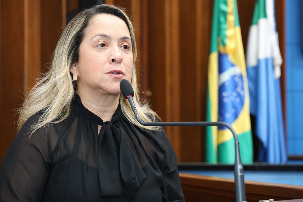 Imagem: Lia Nogueira retomou o pedido feito ao Governo do Estado para que haja um Plano de Segurança aos Profissionais de Saúde
