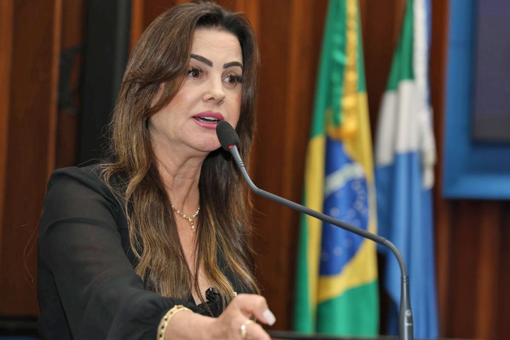 Imagem: Deputada defendeu o fortalecimento dos conselhos tutelares para o enfrentamento a esse tipo de crime