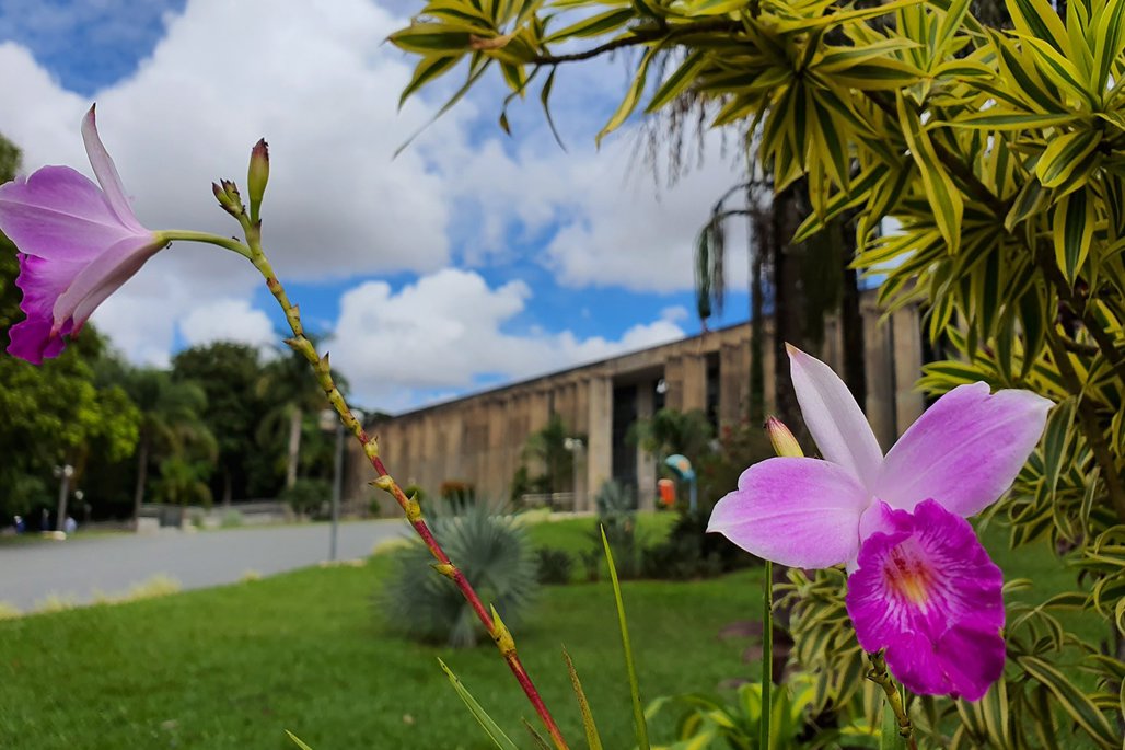 Imagem: Entre os eventos programados para a próxima semana, ações do Outubro Rosa movimentam a Casa de Leis