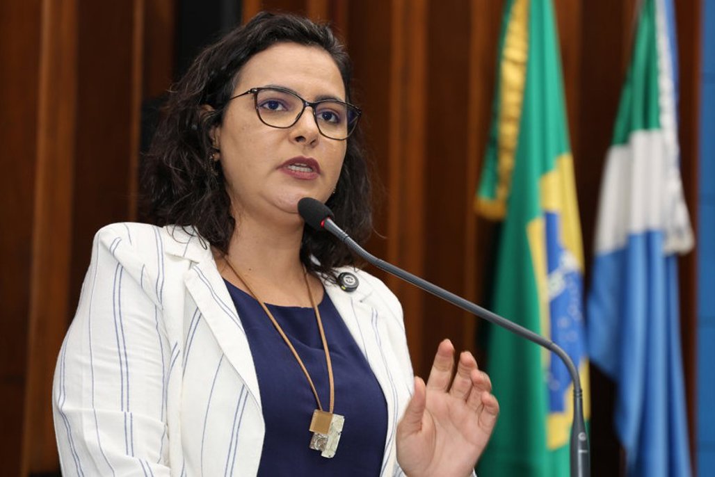 Imagem: Modelo tem gerado inúmeros problemas no sistema educacional, principalmente em Dourados, conforme a parlamentar