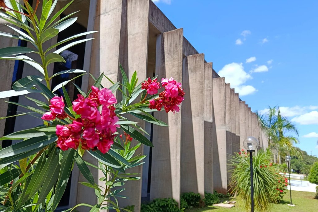 Imagem: A Assembleia Legislativa está localizada na Avenida Desembargador José Nunes da Cunha, Bloco 9, Parque dos Poderes, Jardim Veraneio