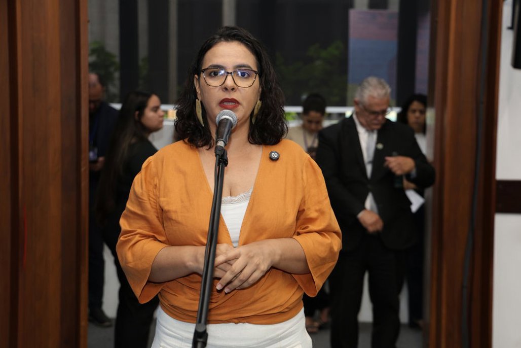 Imagem: Gleice Jane é a propositora da sessão solene que reforça a luta contra o racismo e a cultura antirracista 