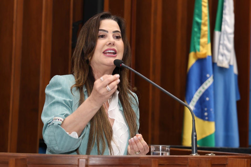 Imagem: Mara Caseiro subiu à tribuna para iniciar o tema 