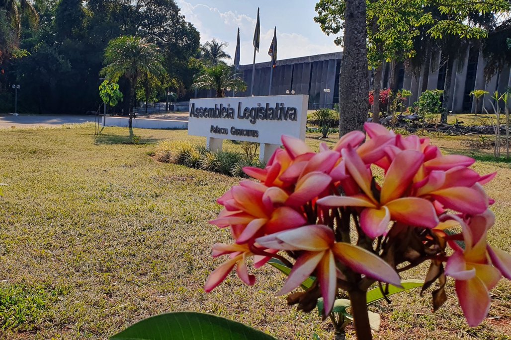 Imagem: Ações intensas em defesa dos direitos femininos e combate ao fim da violência contra a mulher foram pautas constantes no Parlamento 