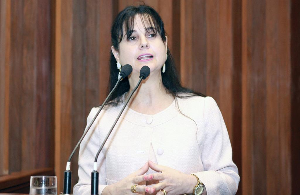 Imagem: Mara foi à tribuna para falar do piso da categoria