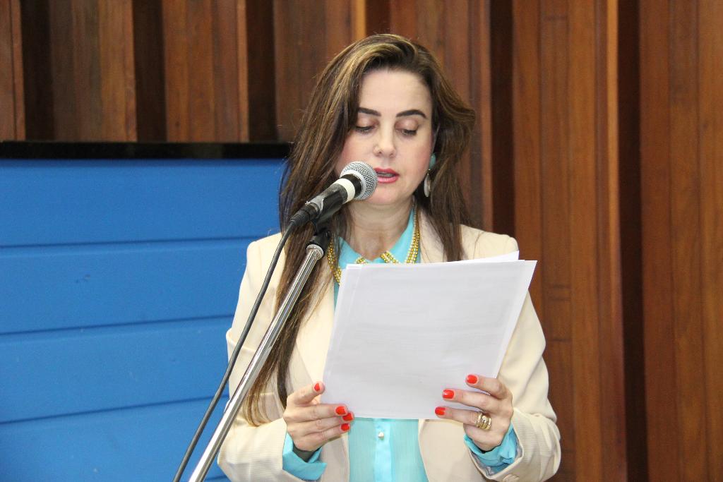 Imagem: Mara Caseiro quer lombadas eletrônicas na 163