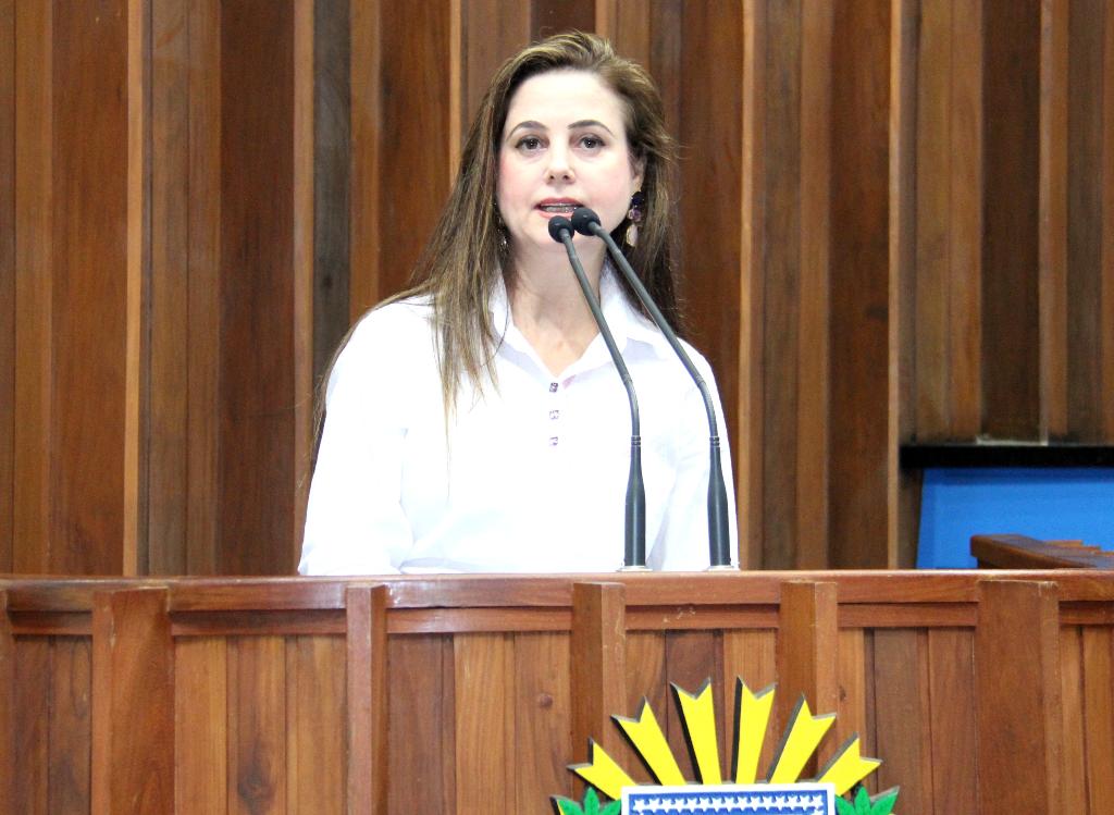 Imagem: Deputada foi à tribuna pedir socorro para as delegacias do Conesul