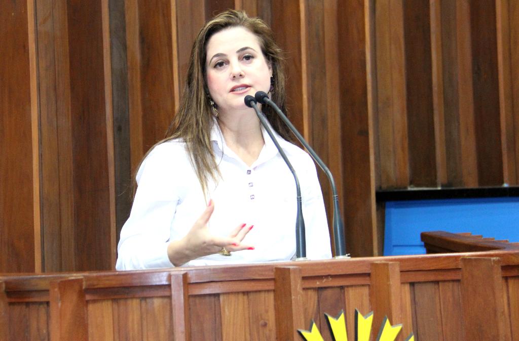Imagem: Deputada vai à tribuna falar sobre nova portaria da Funai