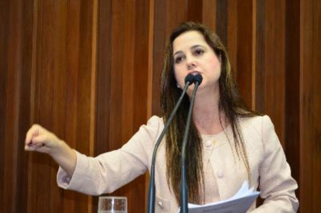 Imagem: Mara Caseiro encaminha requerimento solicitando informações do governo