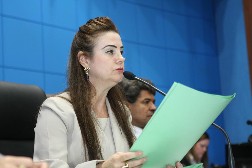 Imagem: Mara Caseiro havia apresentado proposta semelhante em 2011